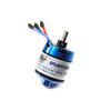 BL10 Motor 800KV