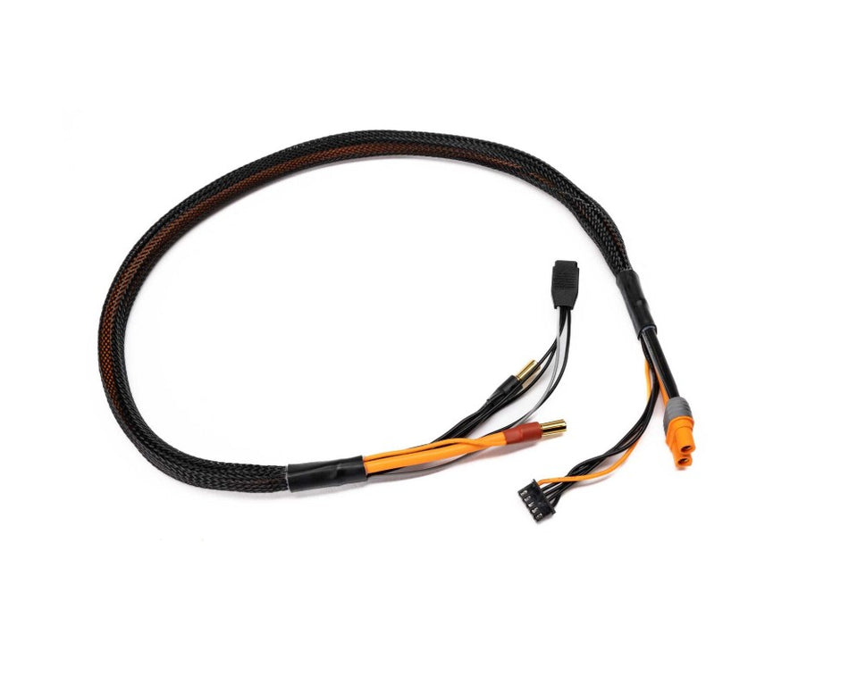 Spektrum Pro Series Race 4s Charge Cable: IC3/5mm 2'